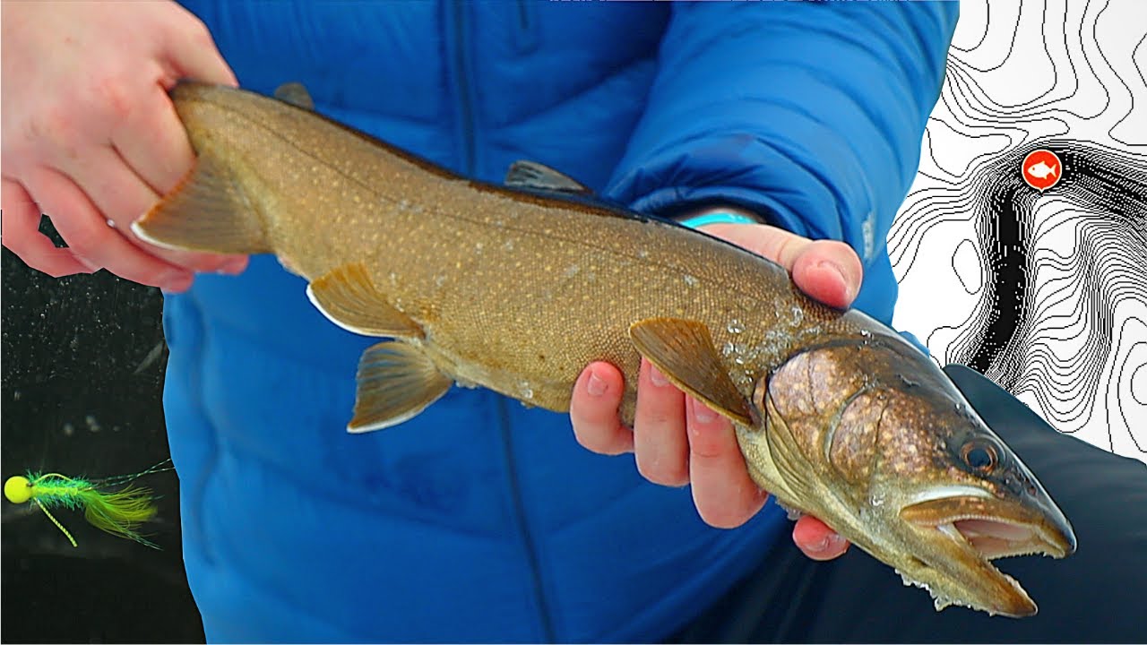 Catch MORE Trout with THIS!