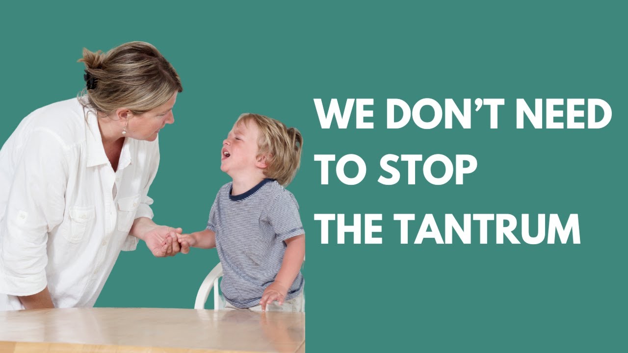 The Tantrum Survival Guide Every Parent Needs