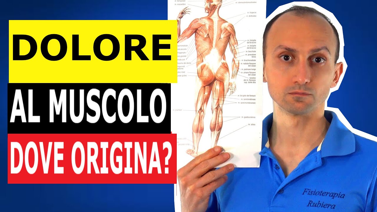 Il Dolore Muscolare Origina Realmente dal Muscolo?