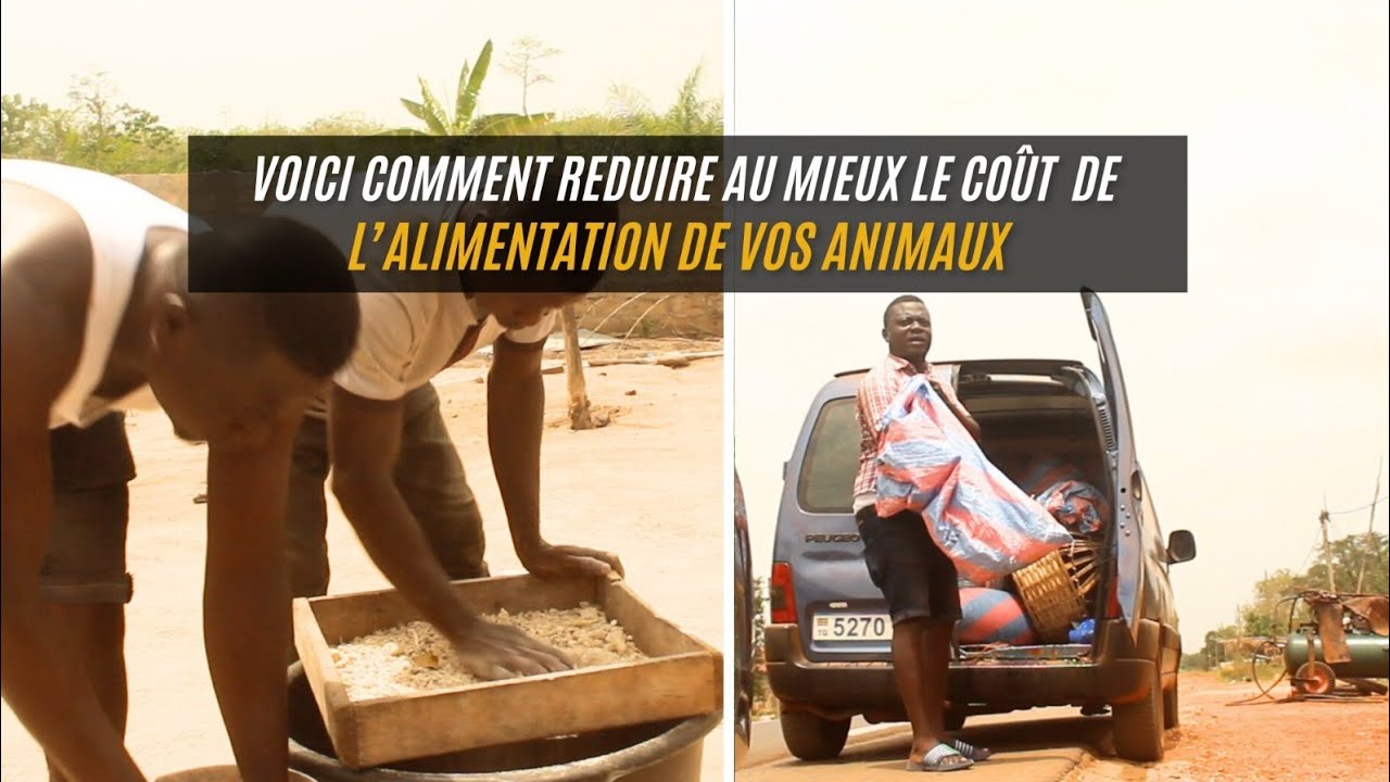 Réduir le cout de l' alimentation, c'est reussir son élevage .