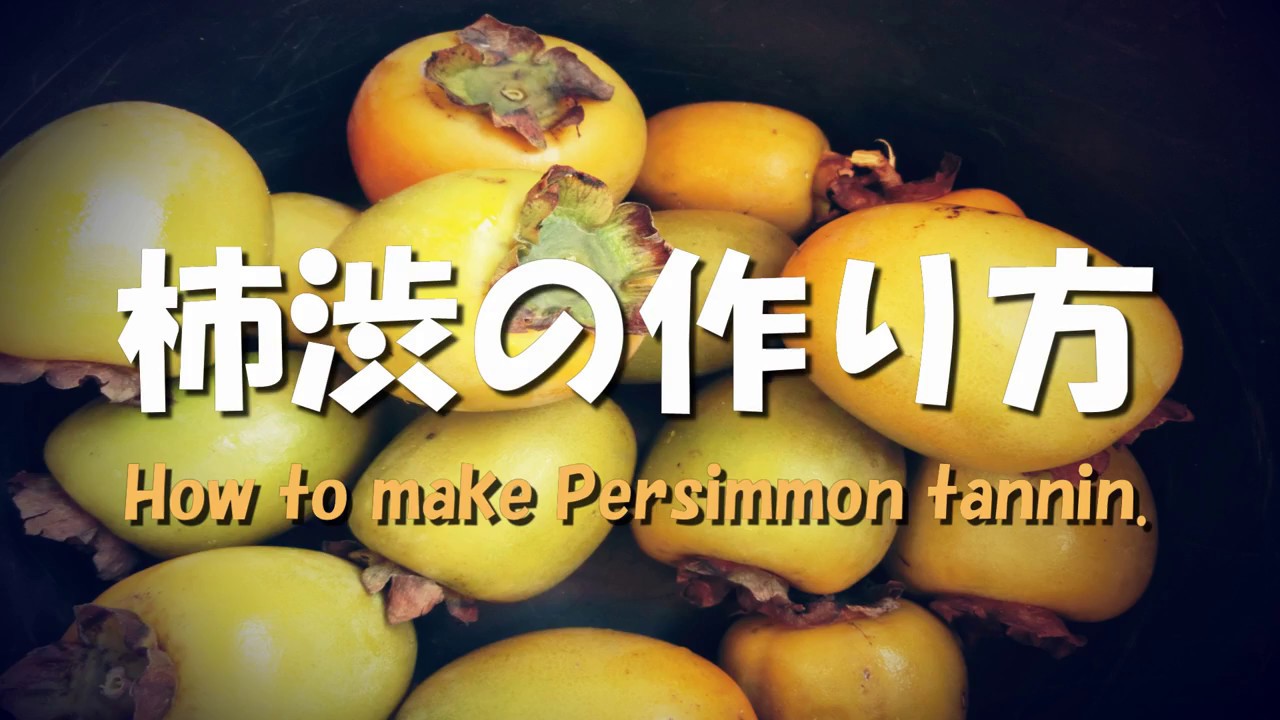 柿渋の作り方。 How to make of persimmon tannin.カットから搾取まで