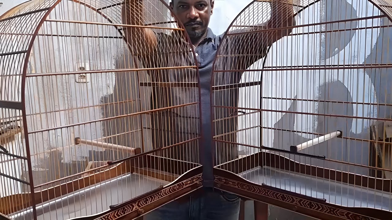 Gaiola Piracicaba semi luxo