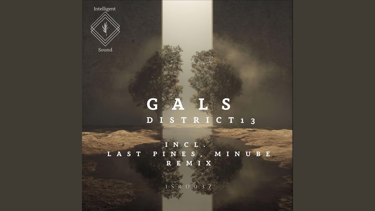 Gals - District 13 (Last Pines Remix)