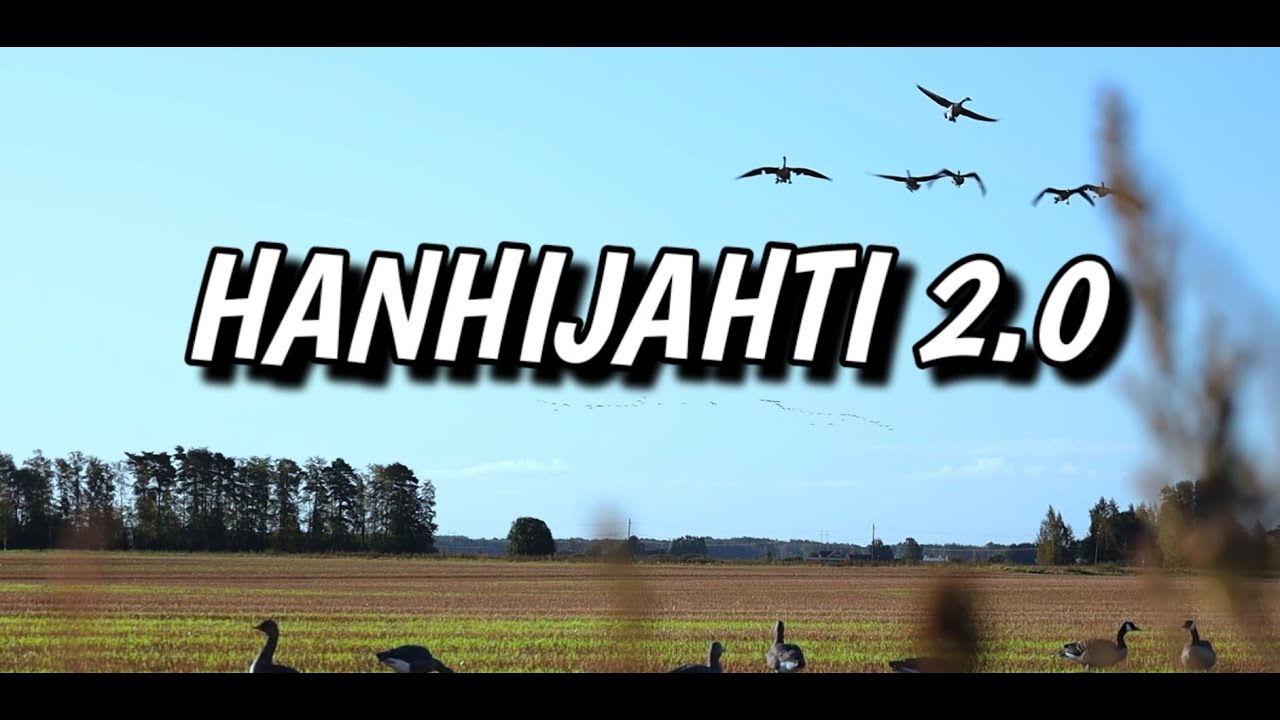 HANHIJAHTI 2.0 | GOOSEHUNTING |#hanhijahti #hanhenmets&auml;stys #goosehunting #mets&auml;stys #mets&auml;stysvideo
