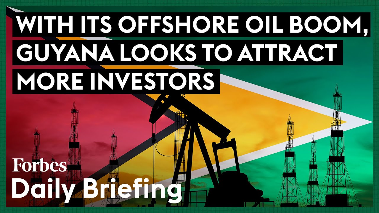 Guyana Touts Itself As Capitalist Paradise — For More Than Just Big Oil