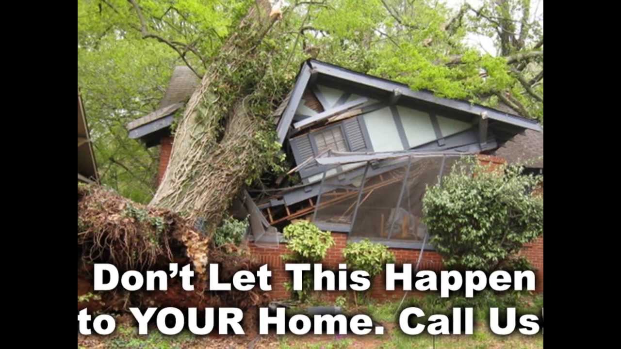 Washington Tree Experts ~ Eastside Tree Services - Bellevue, Kirkland, Woodinville, Edmonds