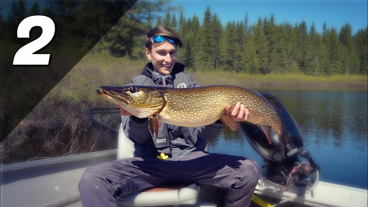 Je Capture un MONSTRUEUX Brochet au LEURRE!! (Mon Plus Gros Brochet)