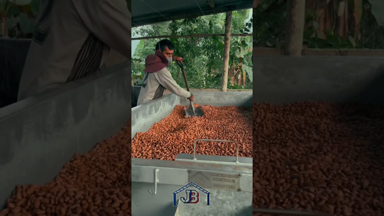 SECADORA DE CACAO