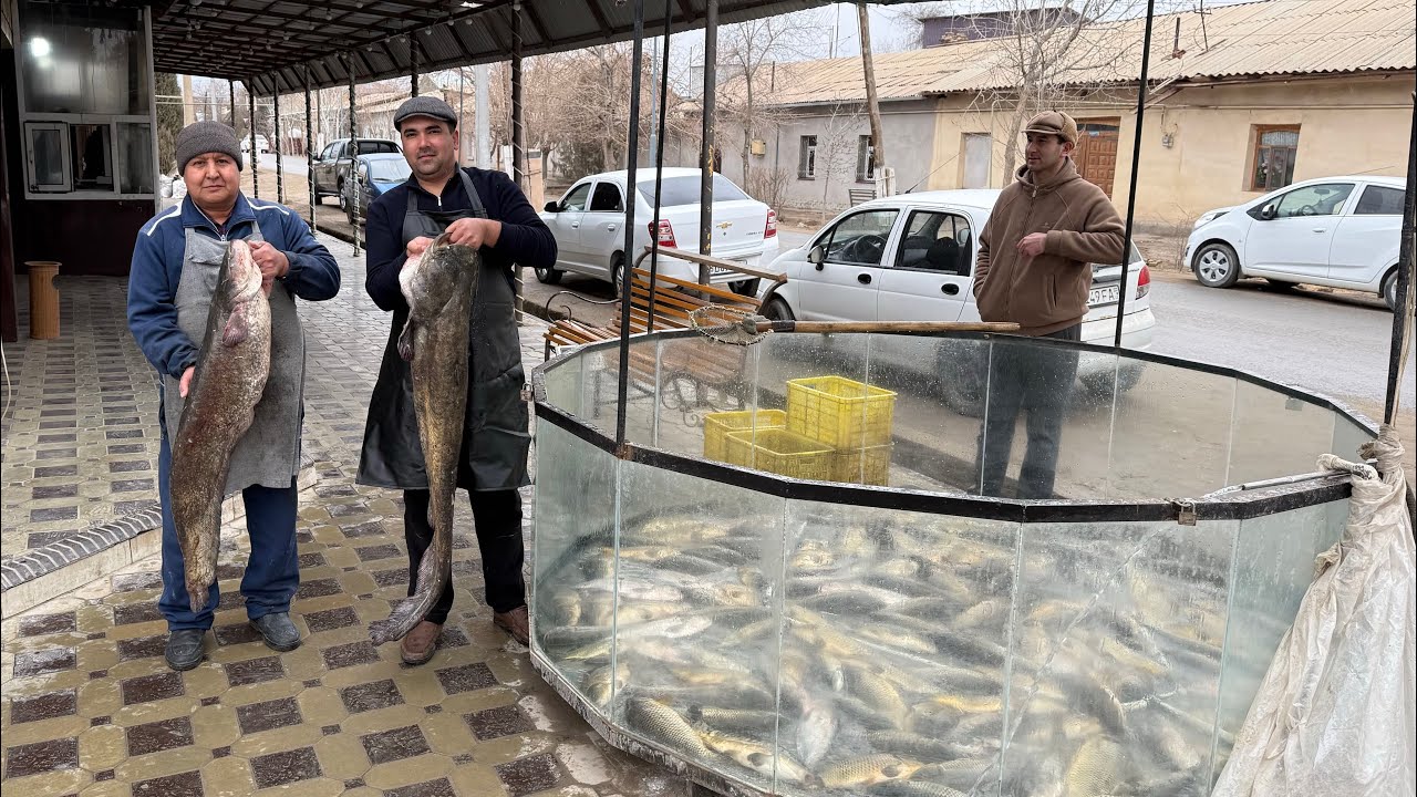 ТУРТКУЛДА АЖОЙИБ ЯНГИЛИК ТЕЗ КУРИНГ АНТИКА БАЛИК ЧОЙХОНАСИ