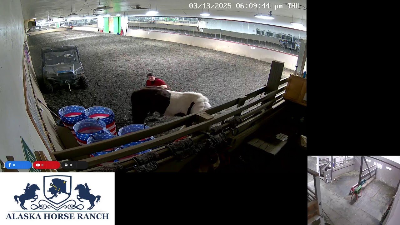 Alaska Horse Ranch's Live broadcast