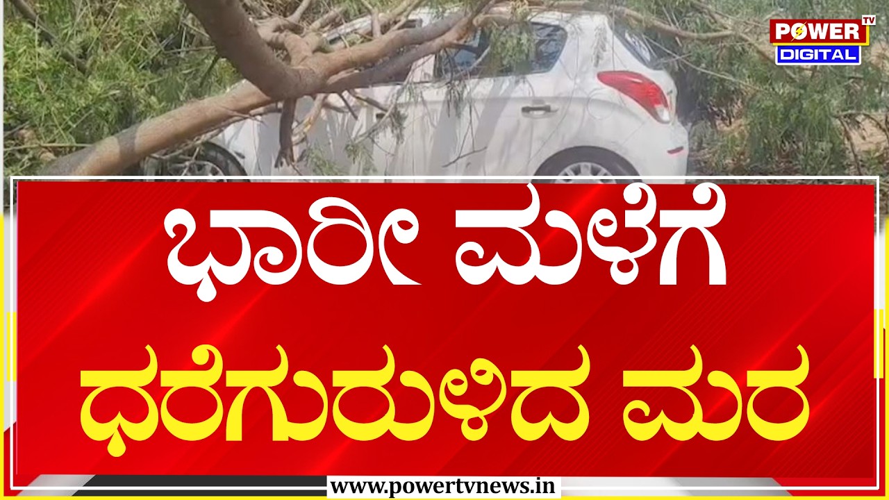 Rain : ಭಾರೀ ಮಳೆಗೆ ಧರೆಗುರುಳಿದ ಮರ | Bidar | Power TV News
