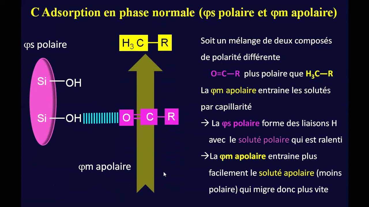 2- Chromatographie d'Adsorption (CA)
