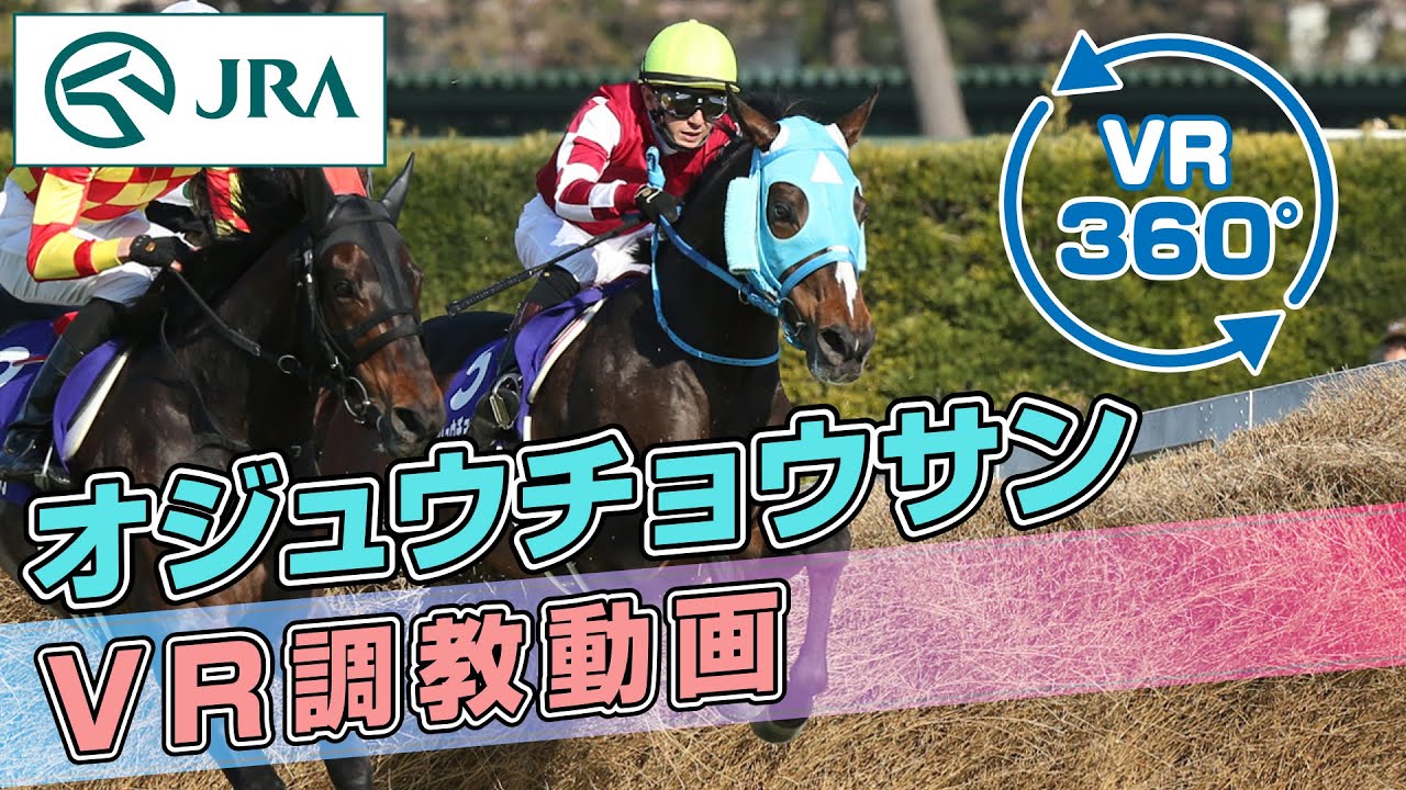 【VR調教動画】オジュウチョウサン 調教動画 | JRA公式