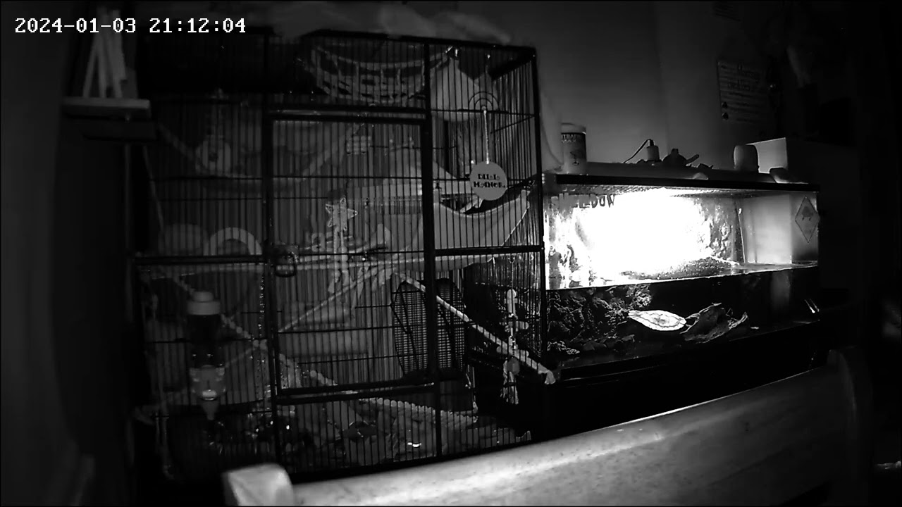 Manor Mischief #009 - 03/01/2024