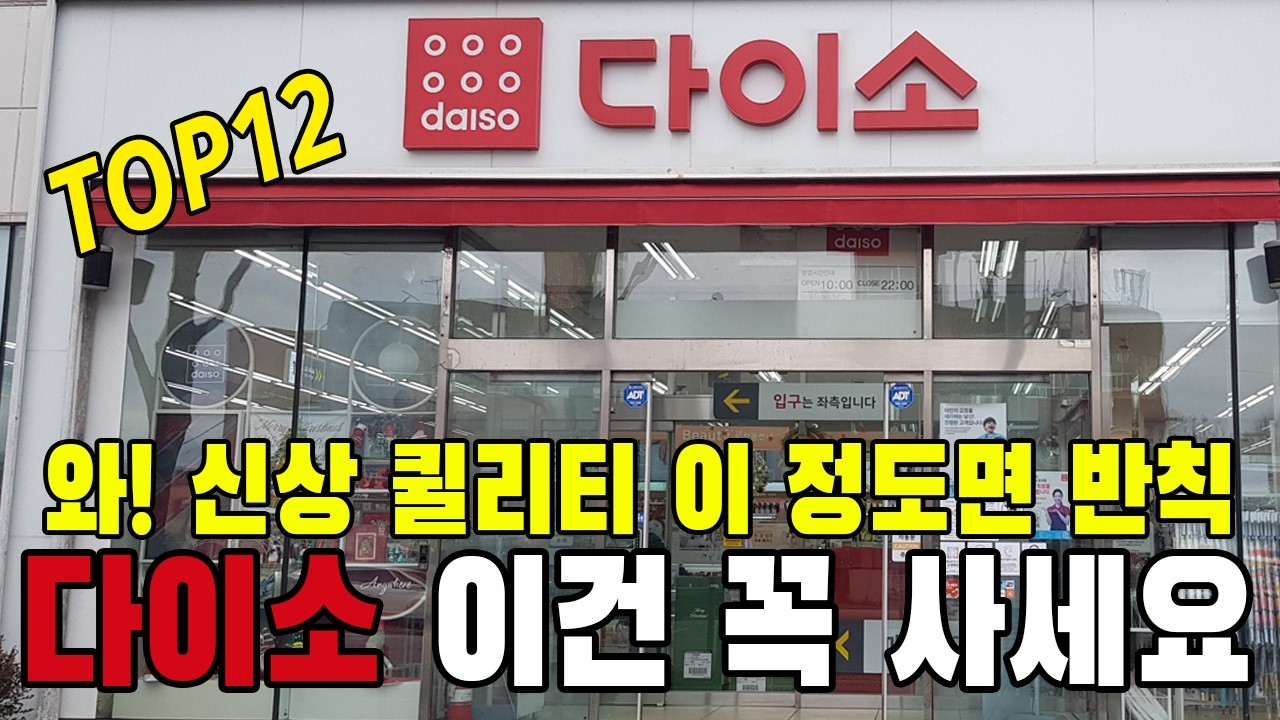 보면 꼭 사세요! 다이소 직원들도 쟁여놓는 추천템 TOP 12 | 다이소 신상 | 품절대란 | 삶의 질 상승템 | 다이소 활용법 | 집안일 쉬워지는 방법