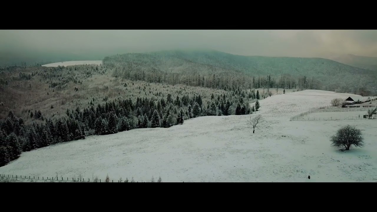 Onisim Grab - Țara mea, patrie dorită