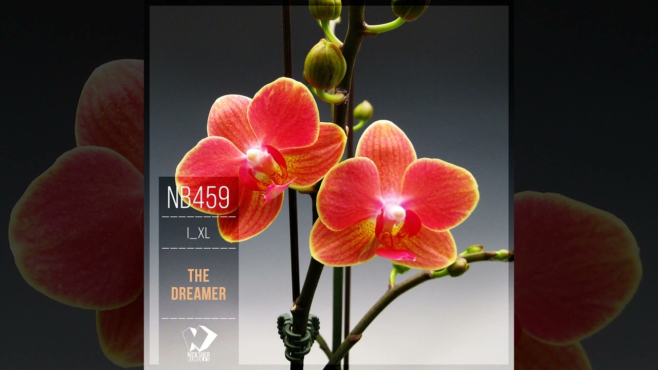 I_XL - The Dreamer [Chillout Realese] 2026