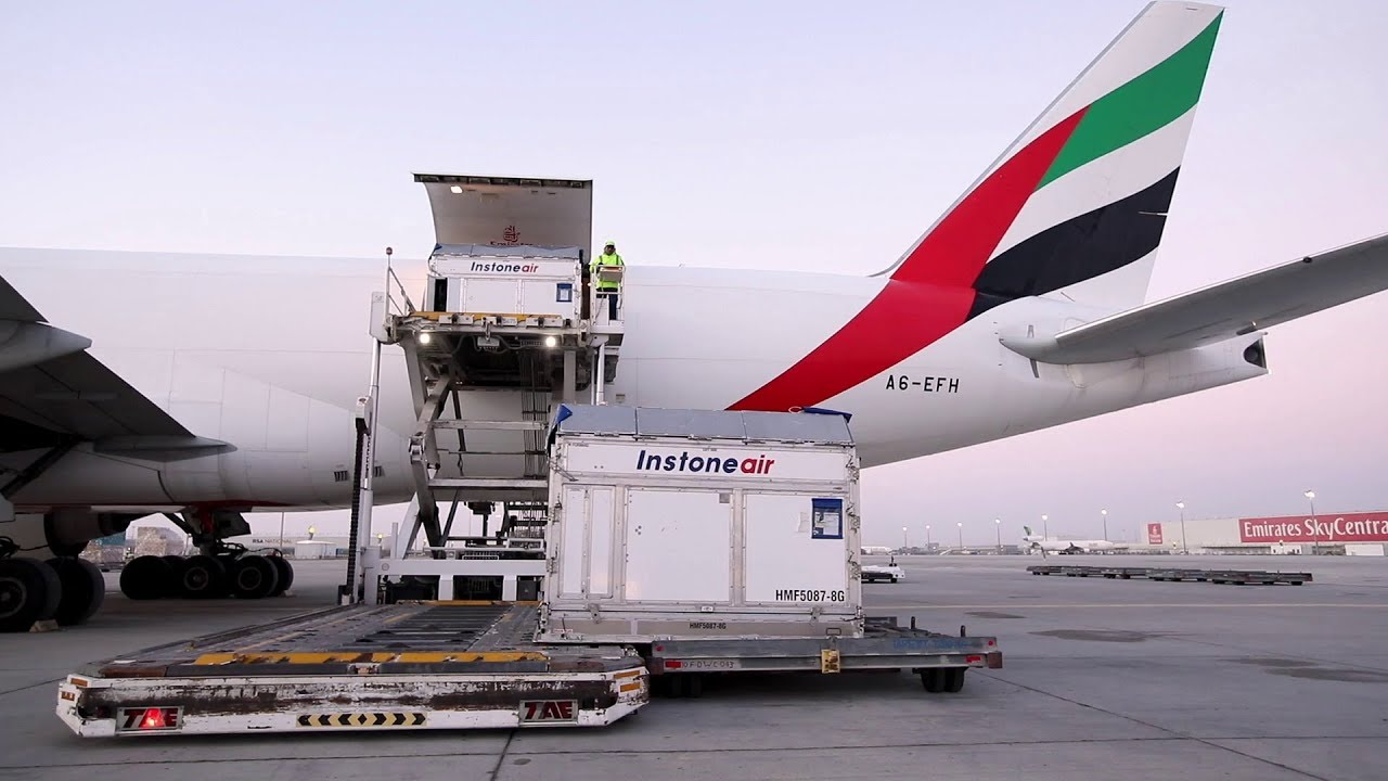 Champion Horses fly first class | Emirates SkyCargo