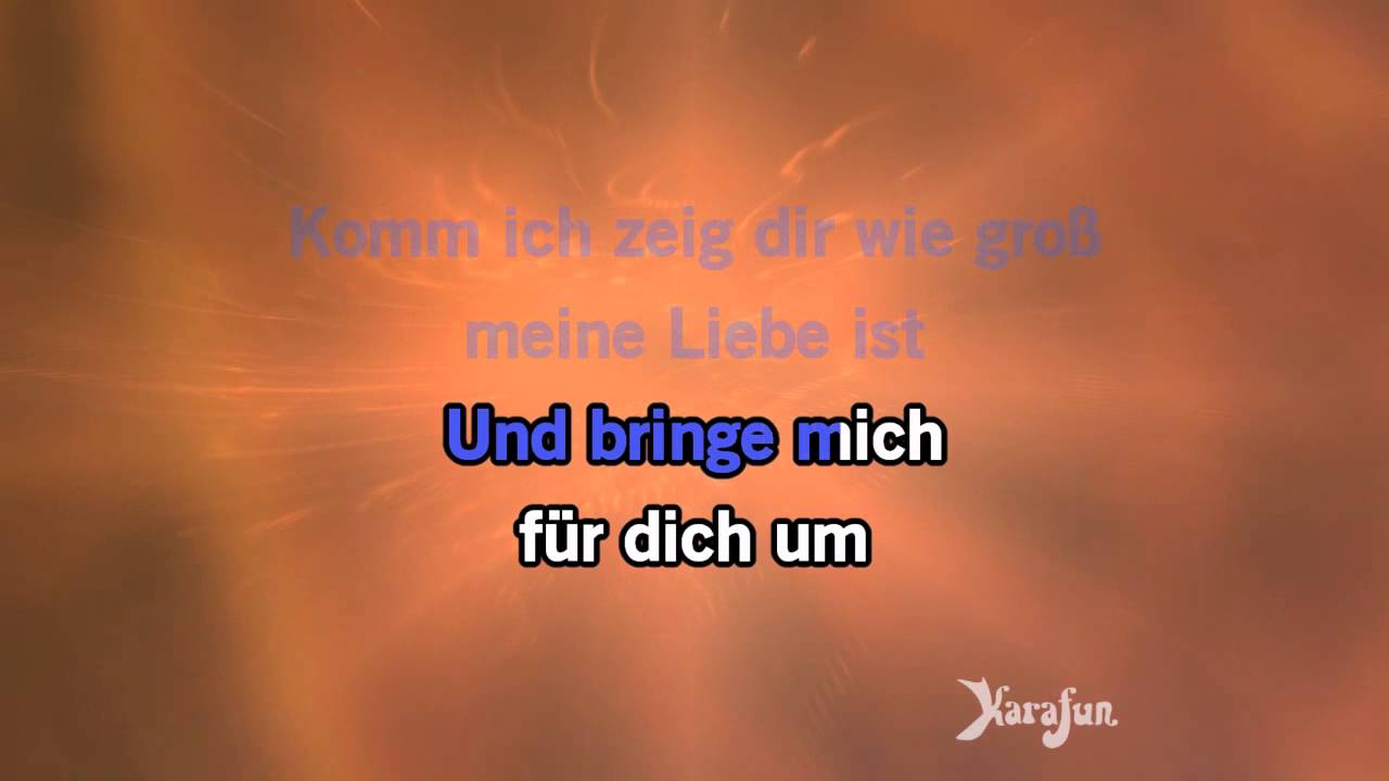 Karaoke Alles Aus Liebe - Die Toten Hosen *
