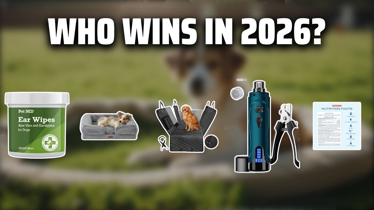 The Top 5 Best Puppy Must-Haves in 2026 - Must Watch Before Buying!