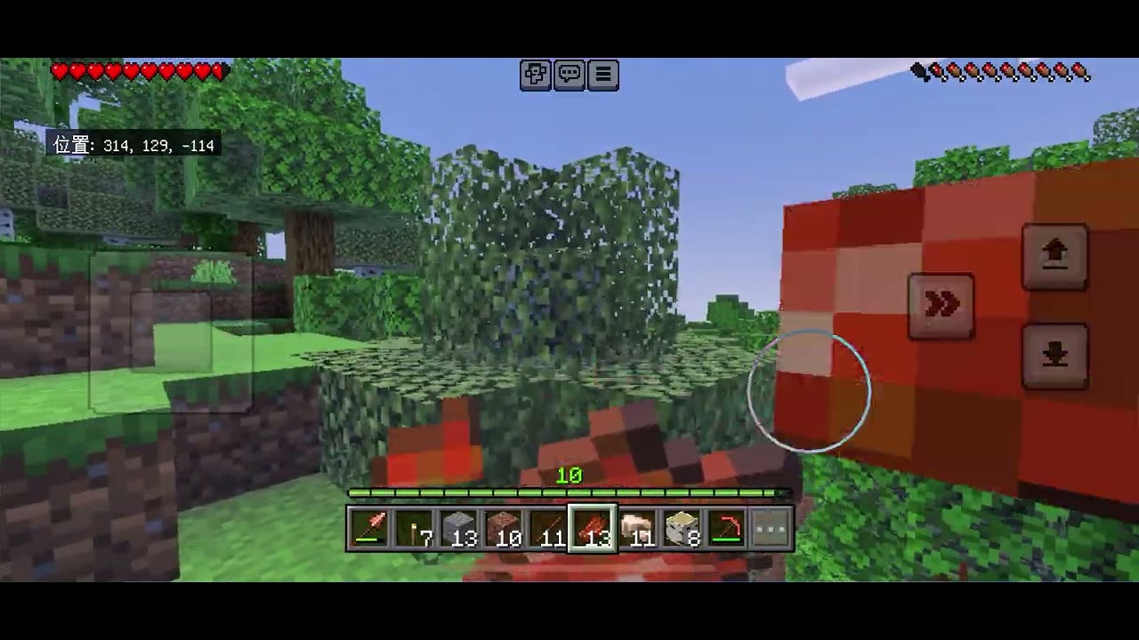 Minecraft ♯35