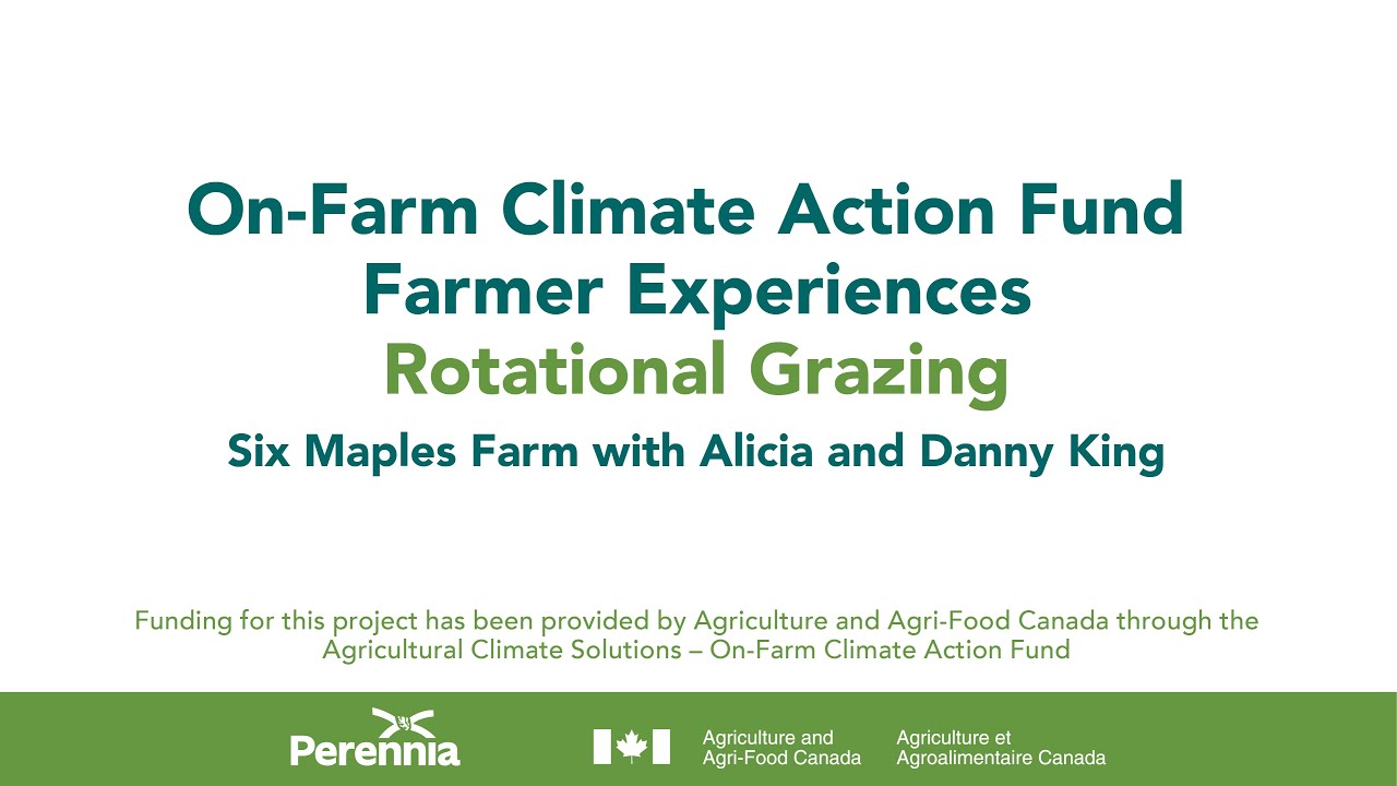 Rotational Grazing with Alicia and Danny King - Six Maples Farm