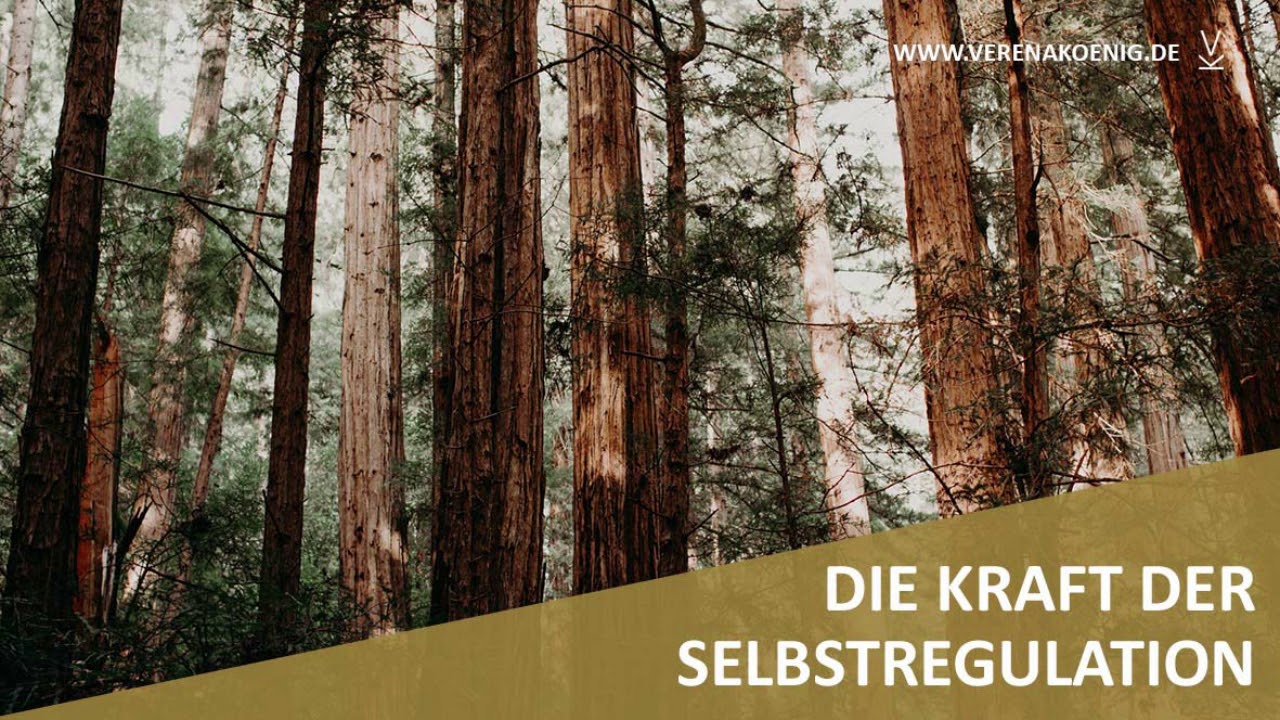 Die Kraft der Selbstregulation // Podcast #83