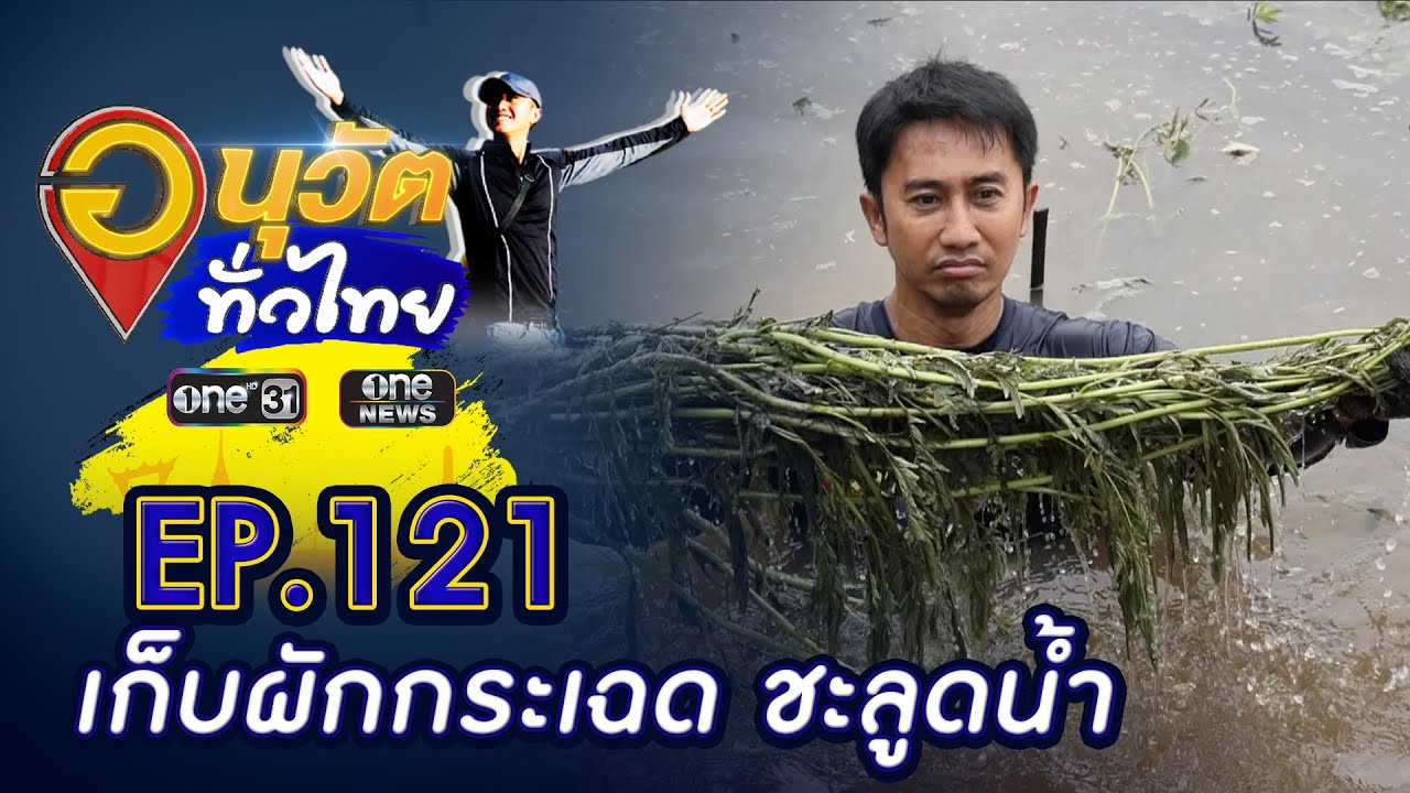 หาผักกระเฉด ชะลูดน้ำ ของดีเมืองปราจีนบุรี | อนุวัตทั่วไทย | EP 121 | ข่าวช่องวัน | one31