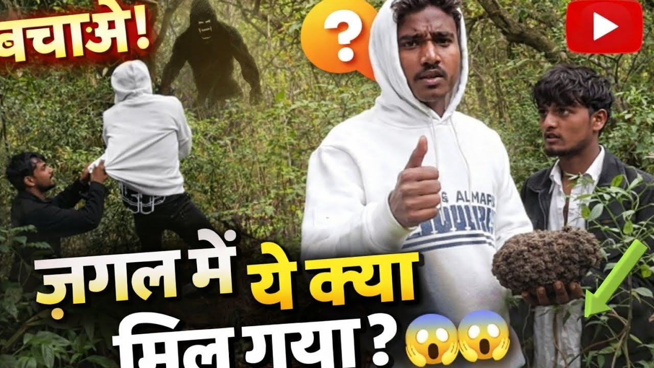 यह क्या चीज हैं😱  जंगल में यह क्या मिल गया😱jungle #वन #youtube New #video#2026video 