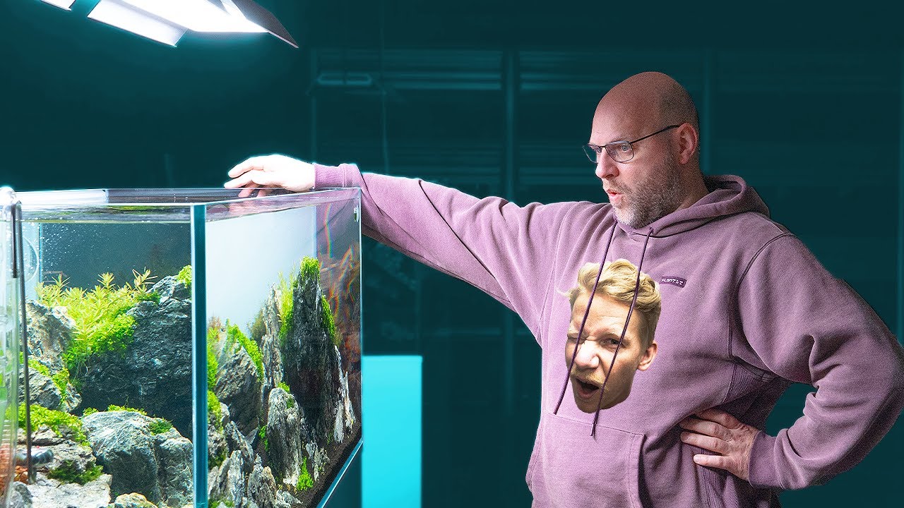 300 LITER Aquarium BRAZILIAN STYLE Aquascape 🇧🇷