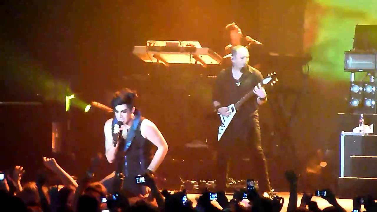 Adam Lambert has a bday present for a special kitty