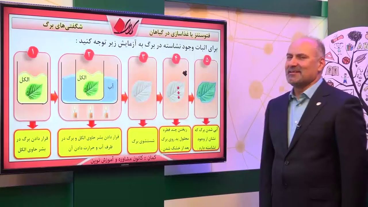 علوم ششم   فصل یازدهم    شگفتی‌های برگ   فتوسنتز یا غذاسازی در گیاهان   قسمت 2
