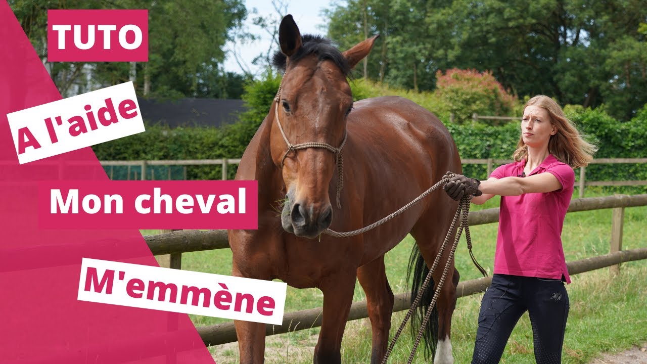 Amener son cheval au pré en toute sécurité!