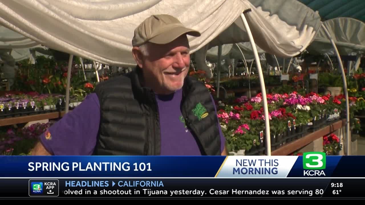 Planting a spring garden in Northern California, what to plant and how to maintain it.