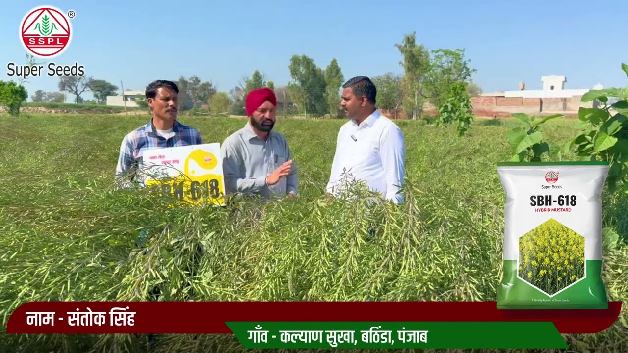 हर खेत की ताकत – सुपर सीड्स SBH-618 सरसों बीज