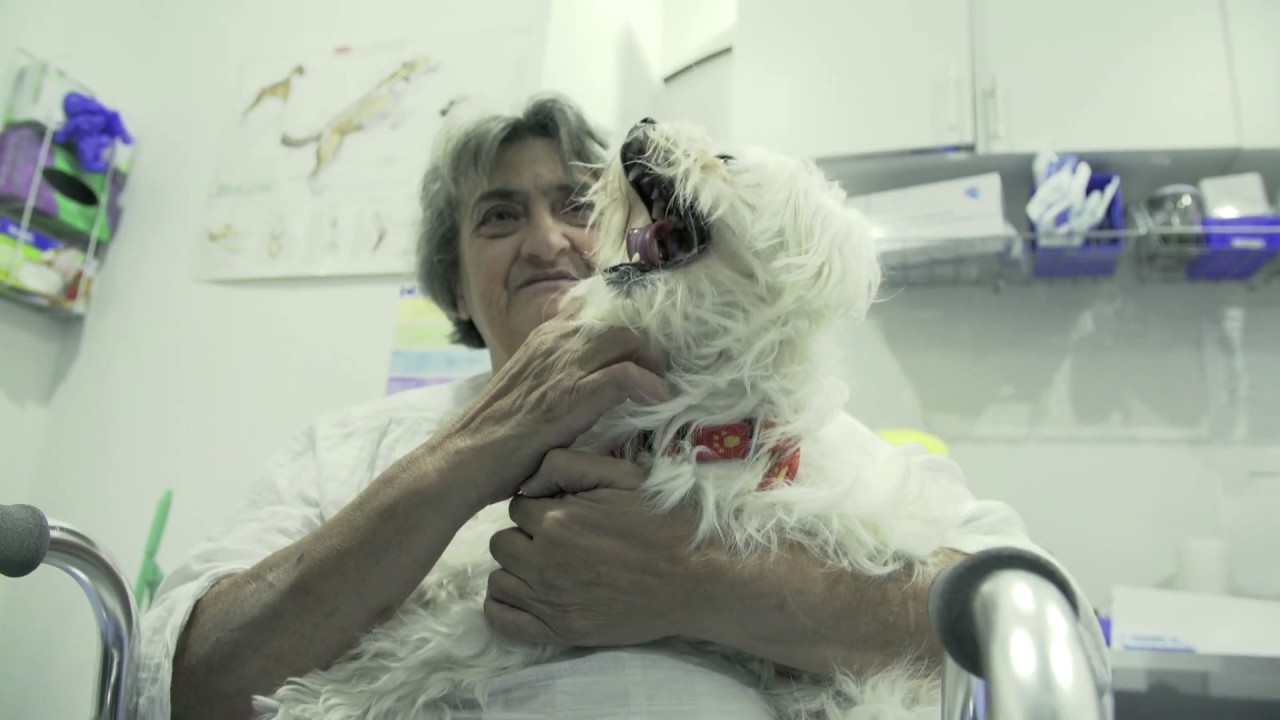 Who We Are | Second Chance Animal Rescue