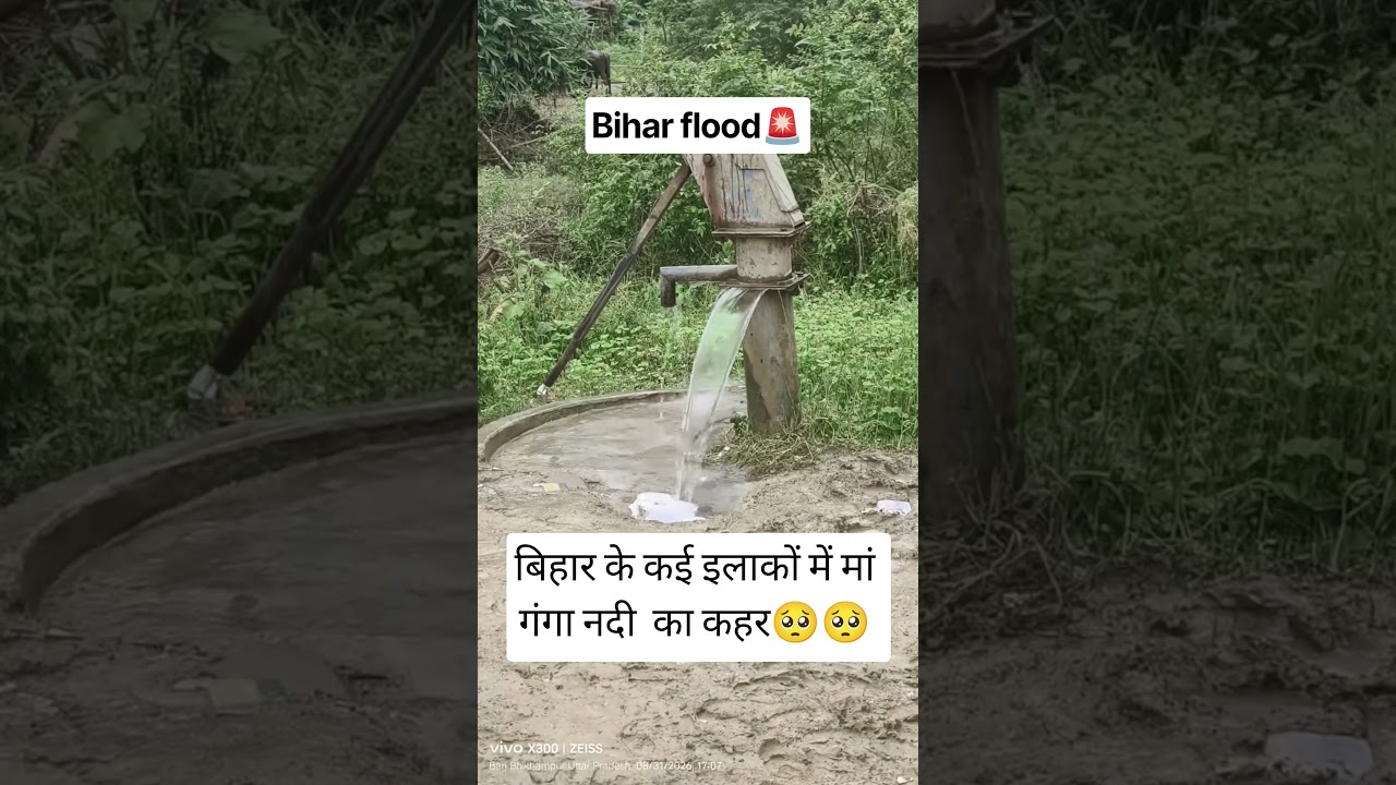 बिहार flood #bihar #begusarai #bhagalpur #flood #shorts #viral #youtubeshorts #ytshorts #youtube