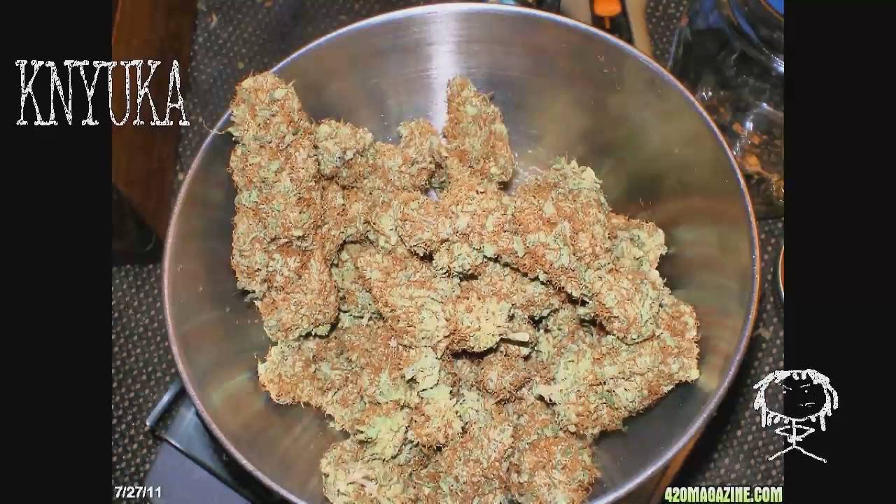 Certified Pothead - 5th Element