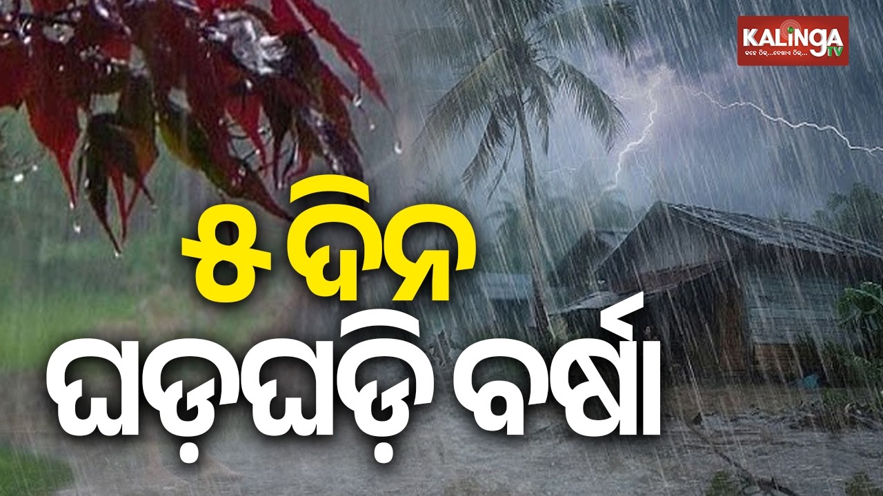 5-Day Rain Alert in Odisha: Heavy Showers Expected Across Several Districts | Kalinga TV