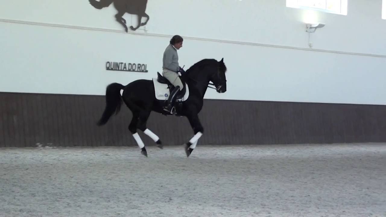 Juan Manuel Muñoz riding Zolista