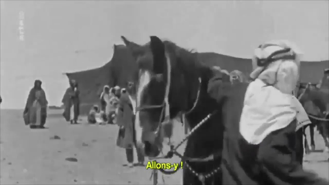 الامير النوري بن شعلان مقطع نادر له شيخ الروله من عنزه
