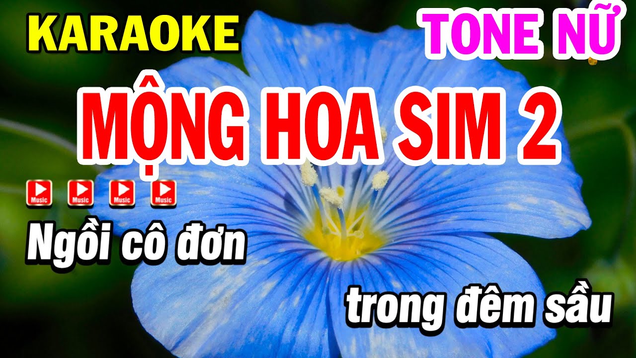 Karaoke Mộng Hoa Sim 2 ( Ngày Trùng Phùng ) Tone Nữ Nhạc Sống Beat Hay | Karaoke Phi Long