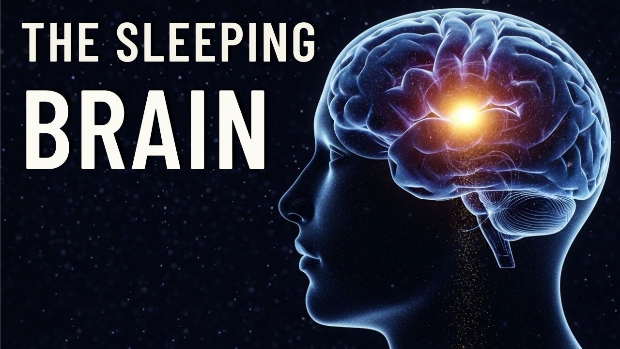 Your Brain’s Secret Night Routine Before Sleep