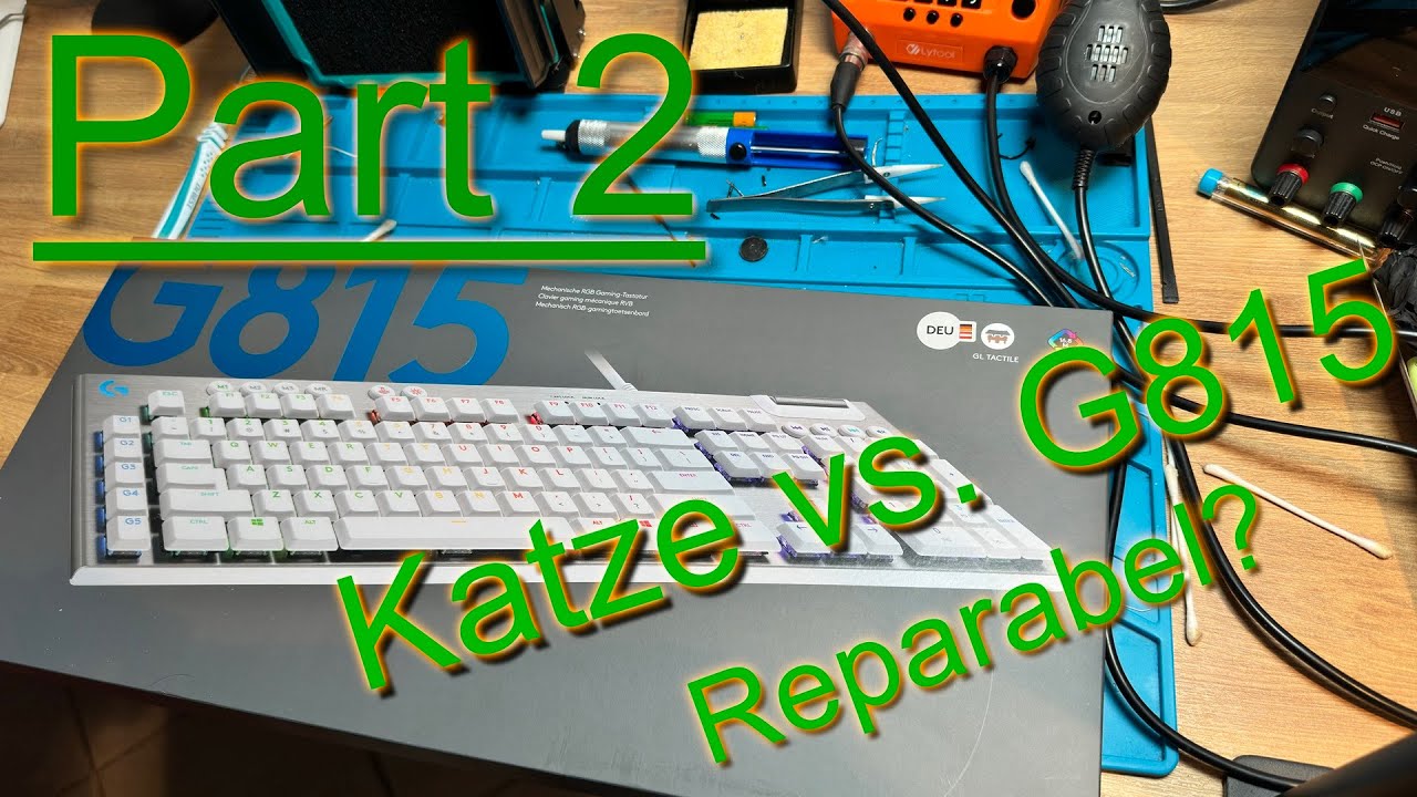 Katze vs. G815 || Kann ich sie reparieren?  Episode 2 || Try to Fix #11