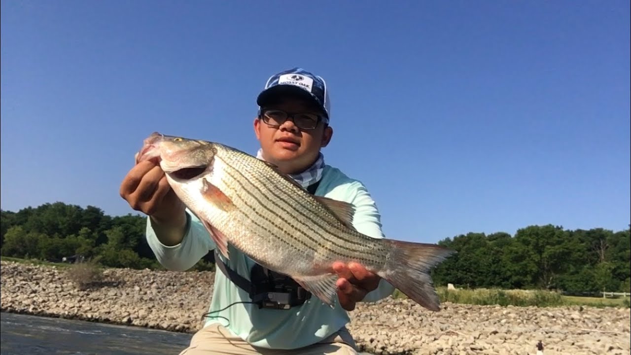 WIPER FISHING THE SAYLORVILLE DAM (FINALLY GOT ONE)