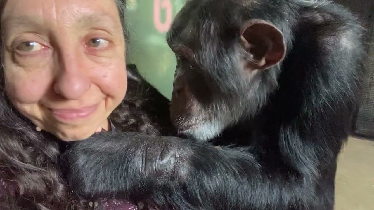 Bow Grooms My Insect Bites