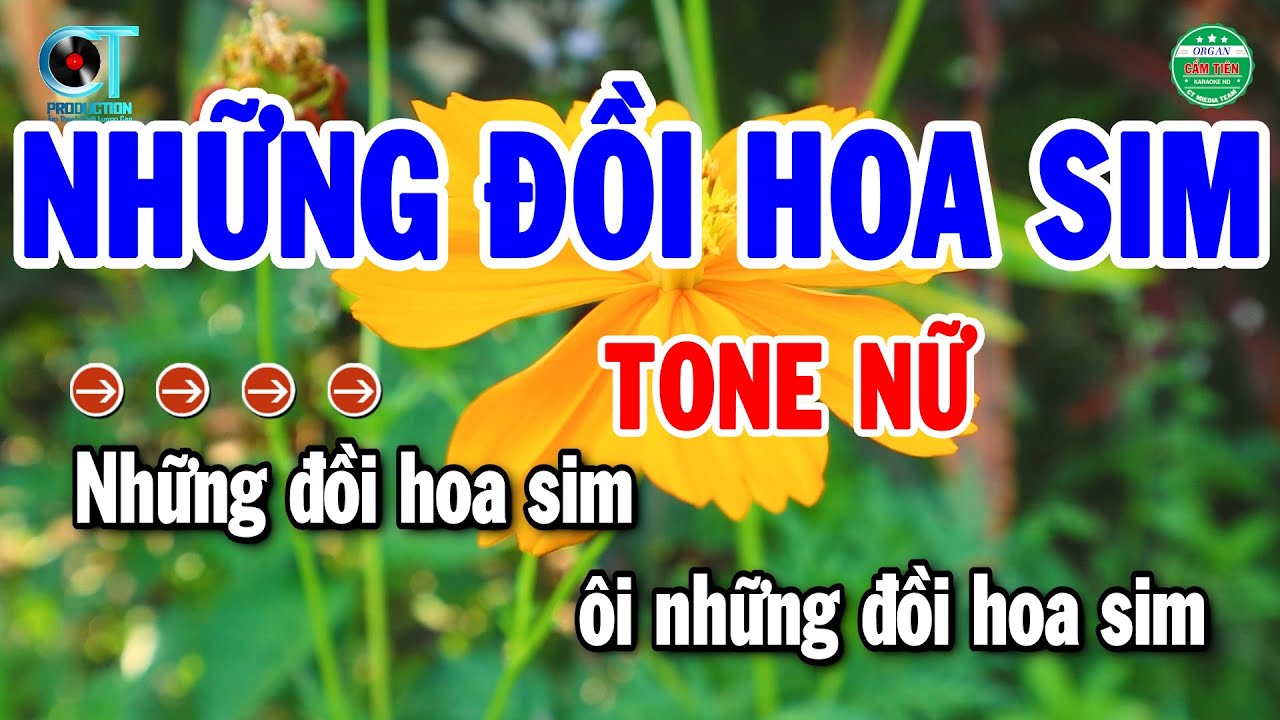 Karaoke Những Đồi Hoa Sim Tone Nữ Nhạc Sống Beat Chuẩn Mới 2025 | Cẩm Tiên Organ