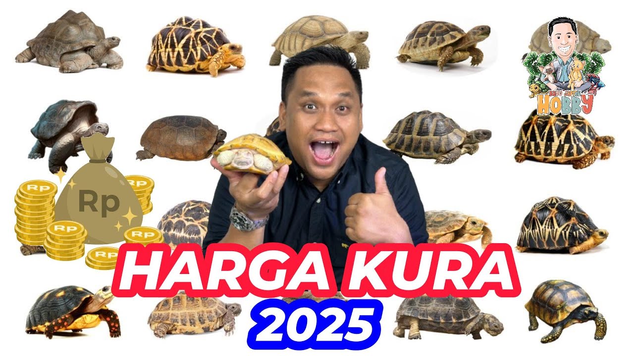 Harga Kura Darat 2025 - 20 jenis