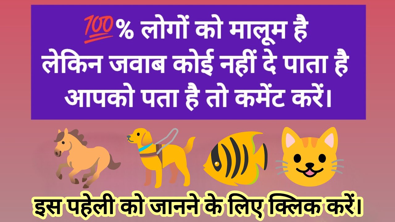 चार जानवरों को जोड़कर बनता है एक Private Bank का नाम 😲 | क्या आप बता सकते हैं? | Live Puzzle