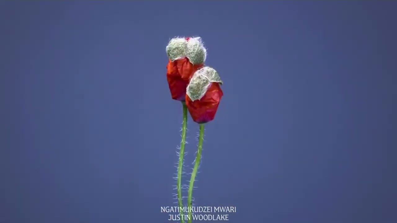 Ngatimukudzei Mwari | Justin Woodlake